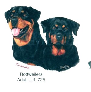 Rottweiler -Heads