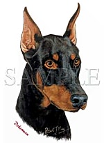 Doberman -Cropped