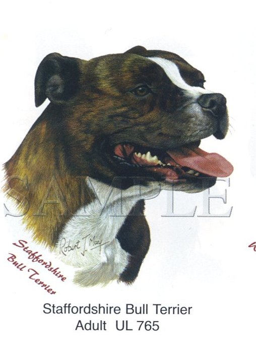 Staffordshire Bull -Head