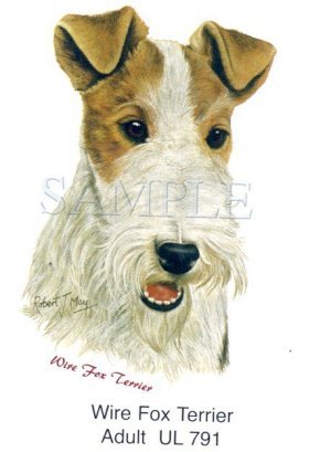 Fox Terrier Wire -Head